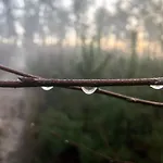 Het Natuurhuisje Op De Veluwe Nunspeet