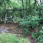 Ferienhaus Het Natuurhuisje Op De Veluwe Nunspeet