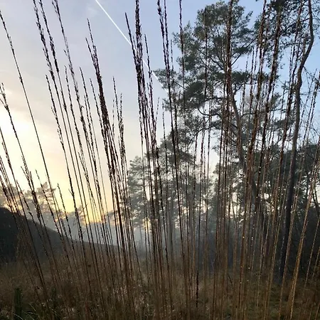 בית נופש Het Natuurhuisje Op De Veluwe *