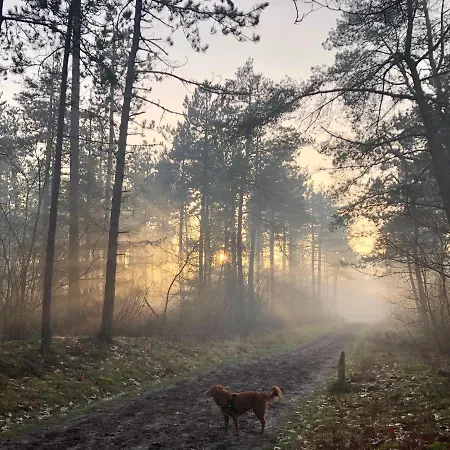 Het Natuurhuisje Op De Veluwe