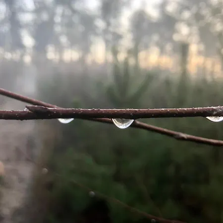 Het Natuurhuisje Op De Veluwe נונספייט