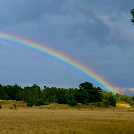 Het Natuurhuisje Op De Veluwe * נונספייט