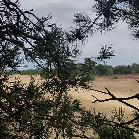 Het Natuurhuisje Op De Veluwe