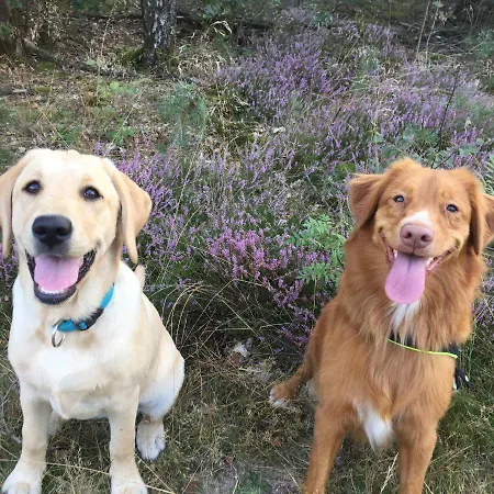 בית נופש Het Natuurhuisje Op De Veluwe נונספייט