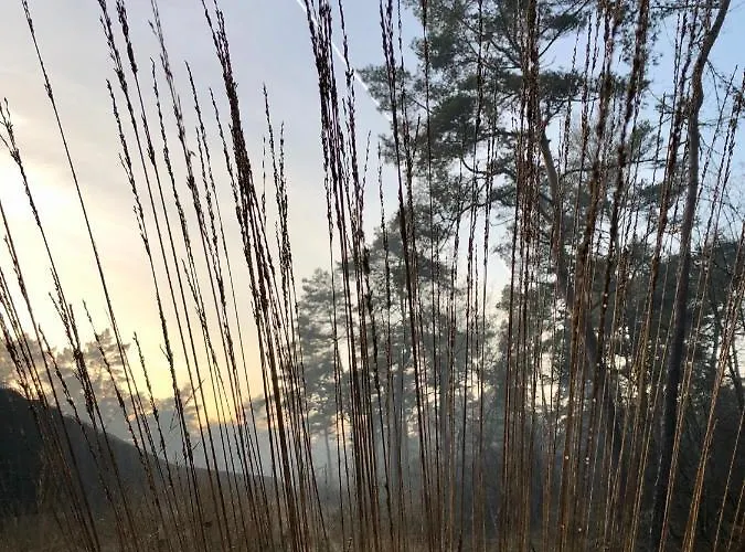 Сasa de vacaciones Het Natuurhuisje Op De Veluwe *