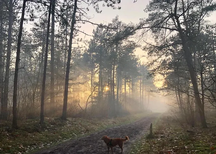 Het Natuurhuisje Op De Veluwe