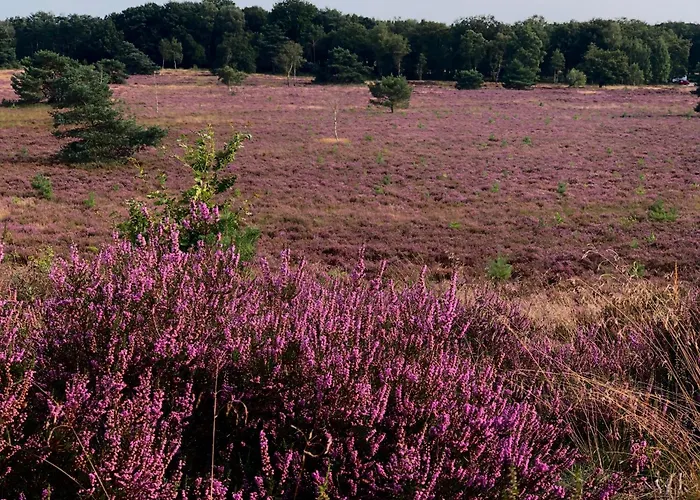 Het Natuurhuisje Op De Veluwe *