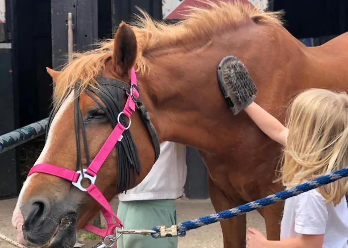 Het Natuurhuisje Op De Veluwe Nunspeet