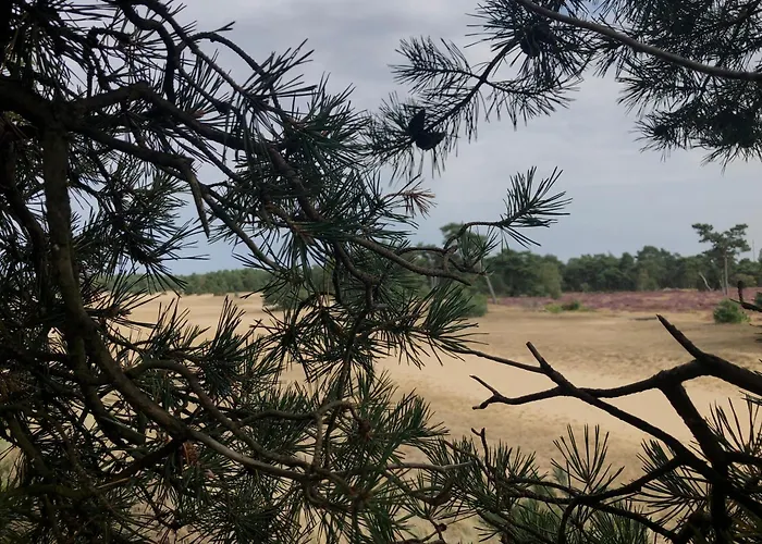 Het Natuurhuisje Op De Veluwe