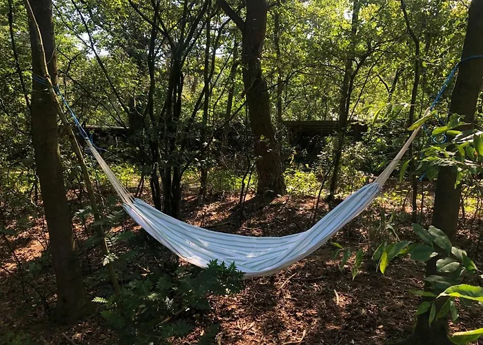 Сasa de vacaciones Het Natuurhuisje Op De Veluwe *