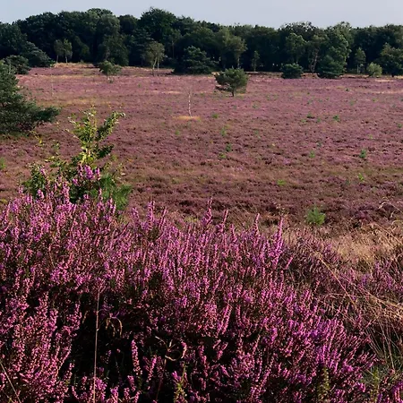 Het Natuurhuisje Op De Veluwe *