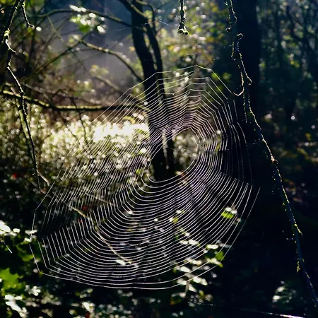 Het Natuurhuisje Op De Veluwe * Nunspeet