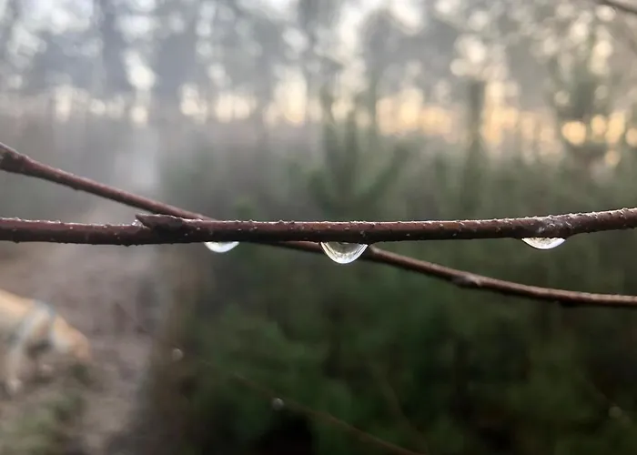 Het Natuurhuisje Op De Veluwe Nunspeet