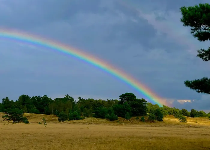 Het Natuurhuisje Op De Veluwe * Nunspeet