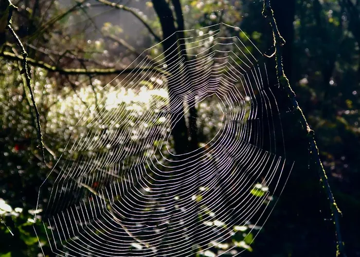 Het Natuurhuisje Op De Veluwe * Nunspeet