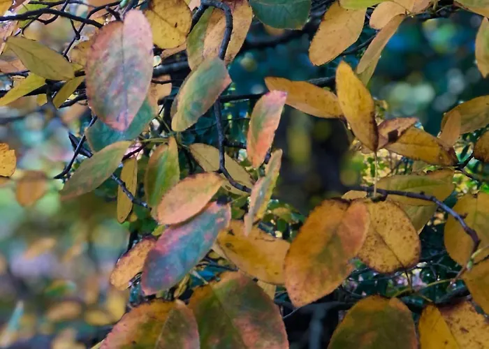 Het Natuurhuisje Op De Veluwe Holiday home *