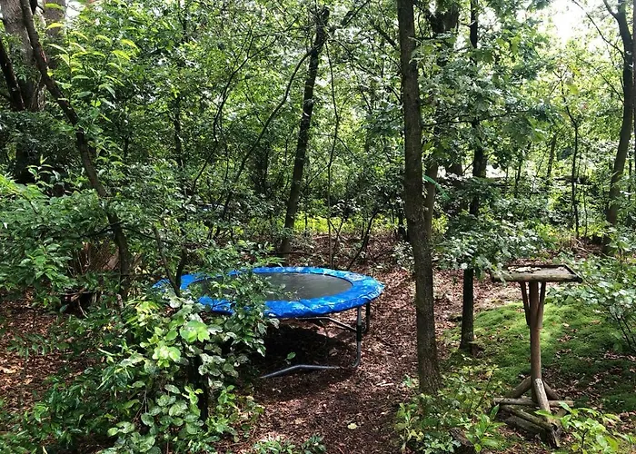 Het Natuurhuisje Op De Veluwe Holiday home Nunspeet