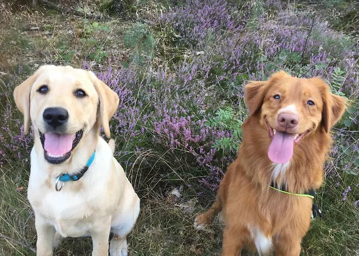 Holiday home Het Natuurhuisje Op De Veluwe Nunspeet